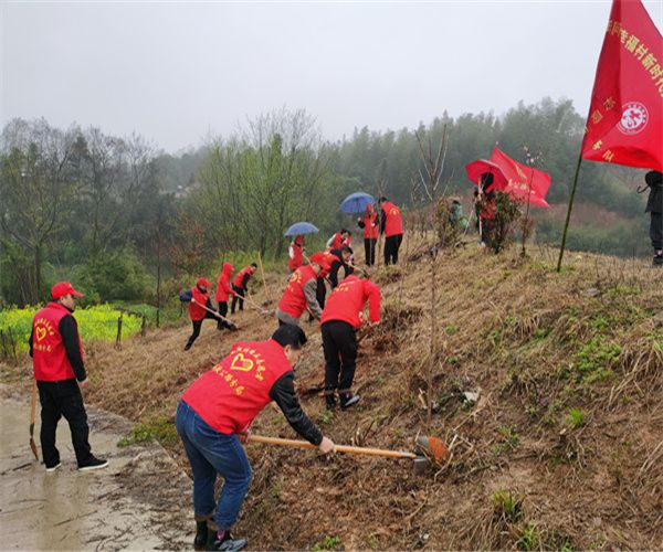 县交通运输局：“铺路石”党员志愿服务队深入双联系村开展植树绿化活动