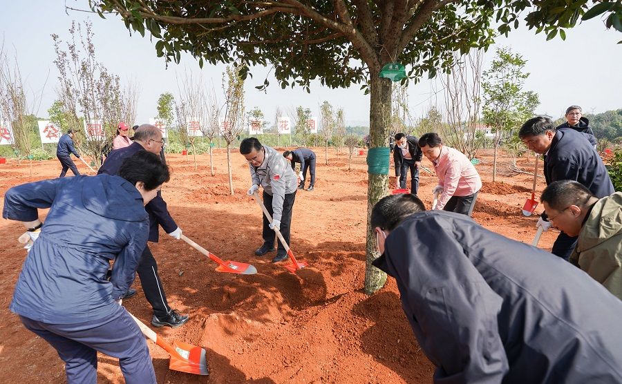 张庆伟参加长沙义务植树活动：坚持不懈推进造林绿化事业 加快建设生态强省美丽湖南