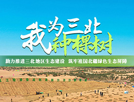 未加载