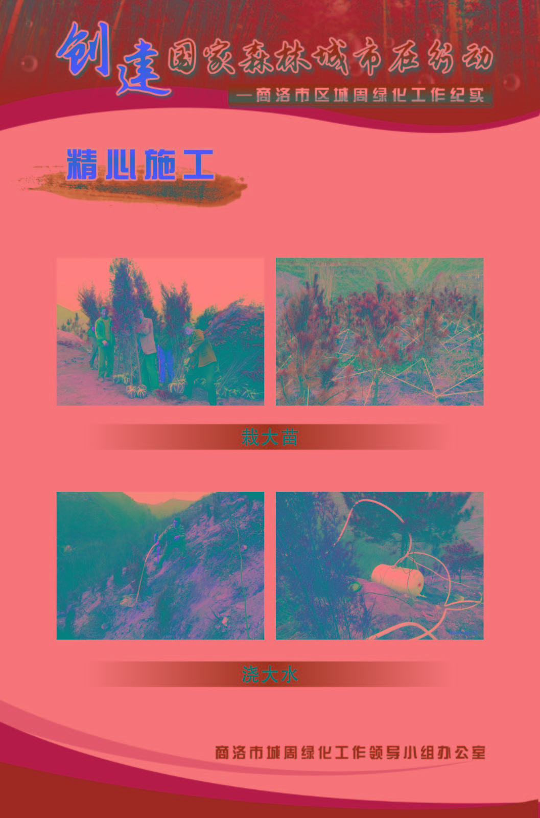 1513564021107415.jpg