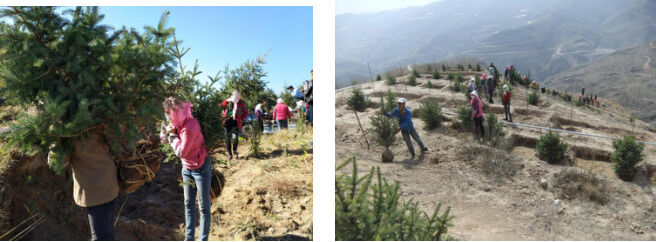 1533624962655632.png image.png