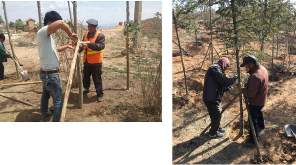 1533625064560833.png image.png