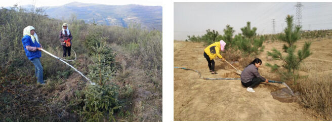 1533625105308494.png image.png