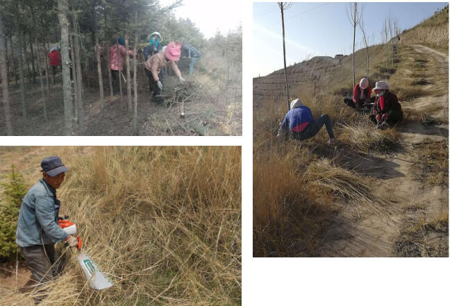 1533625373102325.png image.png