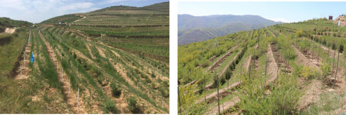 1533625442138097.png image.png