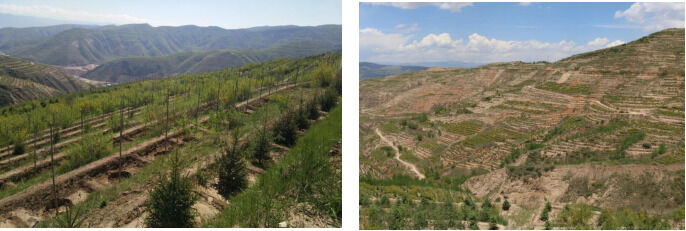 1533625523988698.png image.png