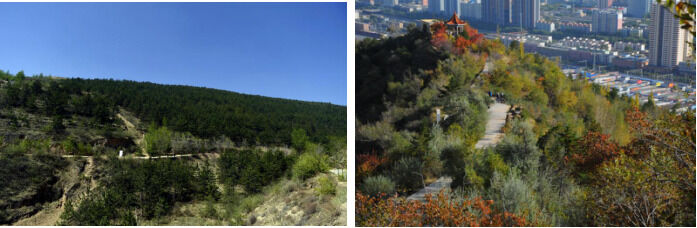 1533625556805641.png image.png