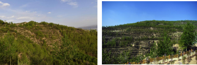 1533625630708733.png image.png