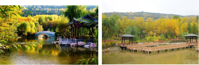 1533625708632911.png image.png