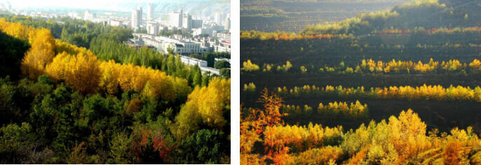 1533625778572064.png image.png