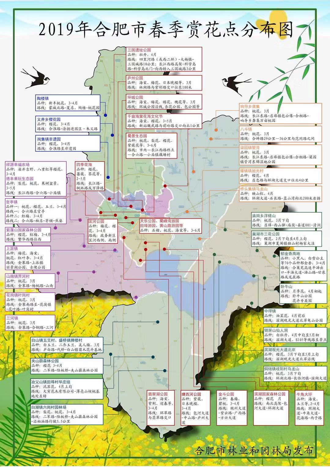 合肥赏花图.jpg