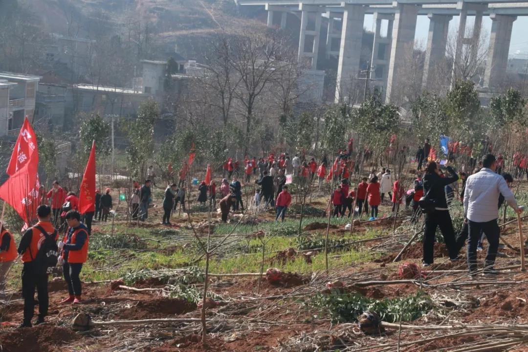 微信图片_20190314093209.jpg