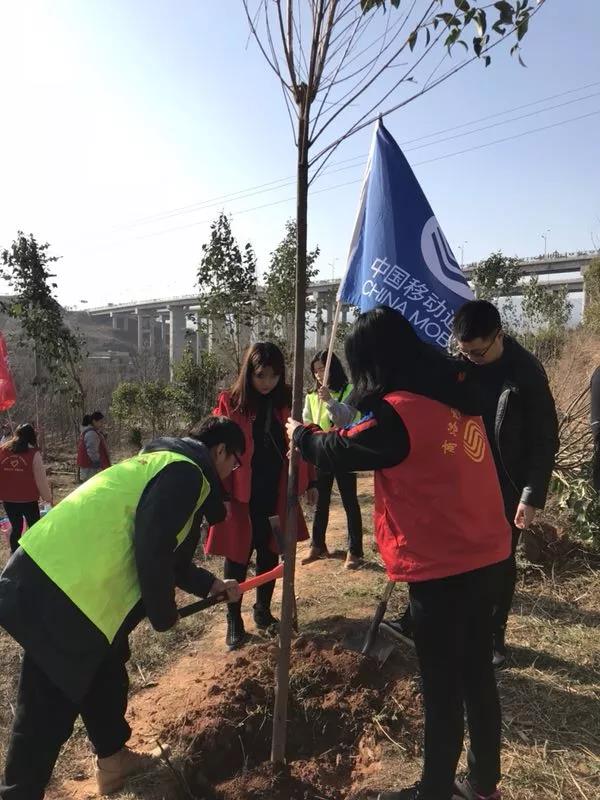 微信图片_20190314093245.jpg