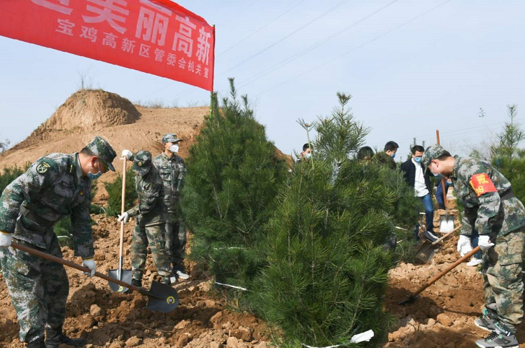 微信图片_20200310203758.png
