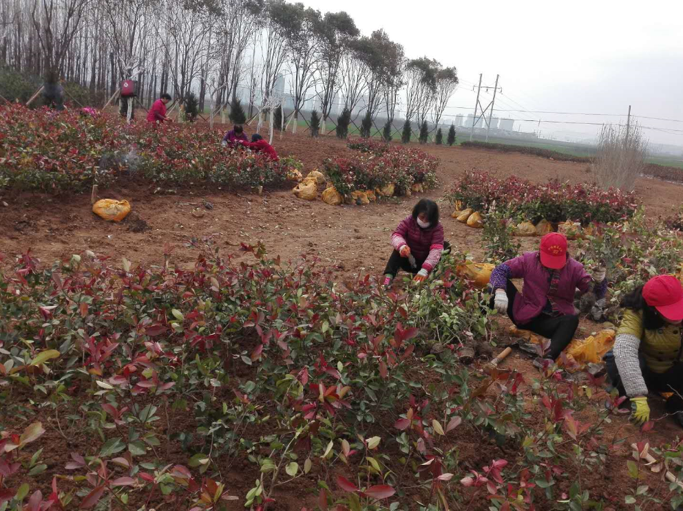 微信图片_20200310205245.png