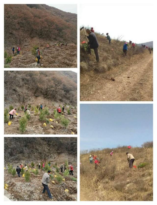 微信图片_20200310215317.jpg