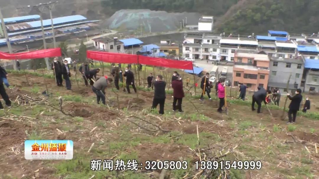 微信图片_20200116115155.jpg