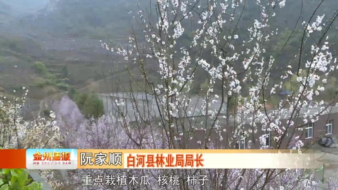 微信图片_20200116115239.jpg
