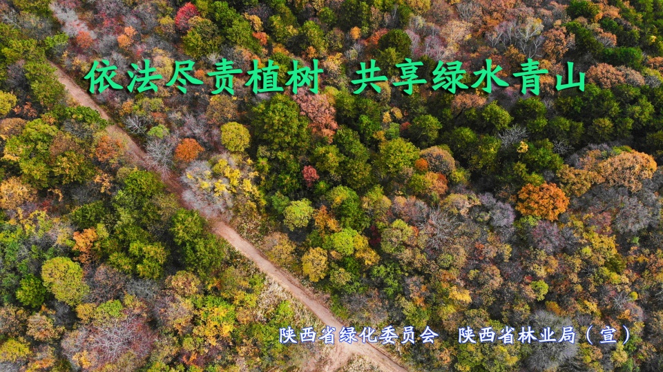 微信图片_20200311142730.jpg