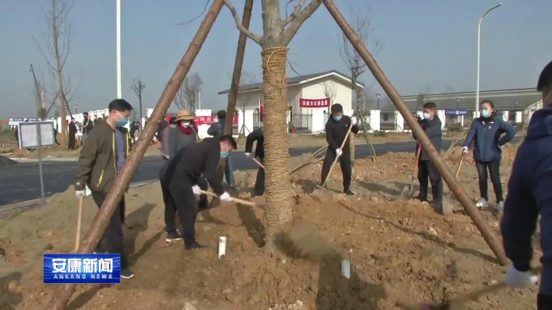 微信图片_20200313154137.jpg