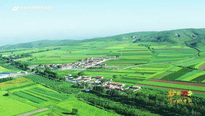 1595468678305412.gif 回民区.gif