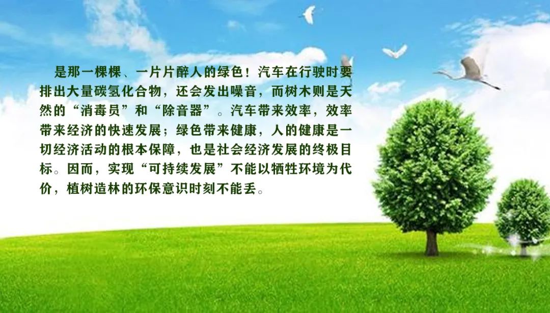 1599813428490168.jpg