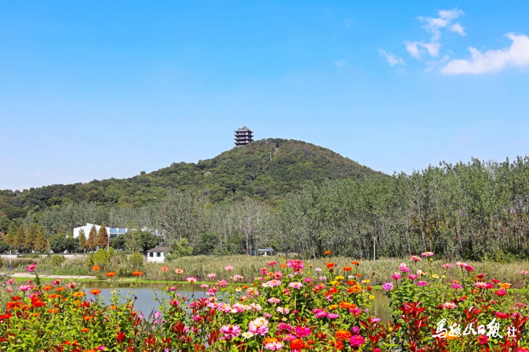 微信图片_20201014153849 - 副本.png