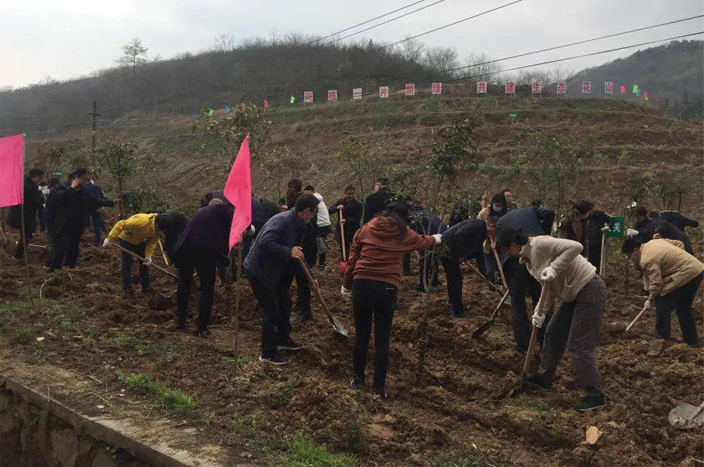 微信图片_202103170913454.jpg