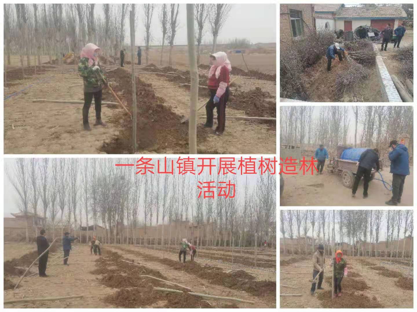 条山镇.jpg