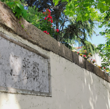 1625035295917715.png