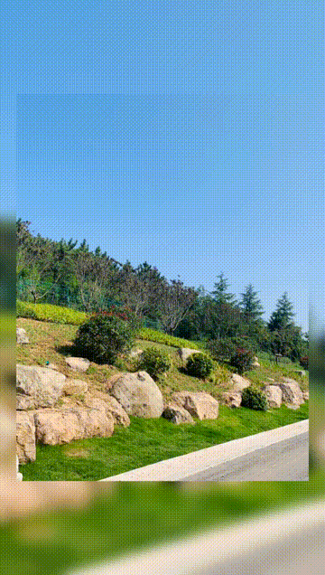 1635747415807953.gif