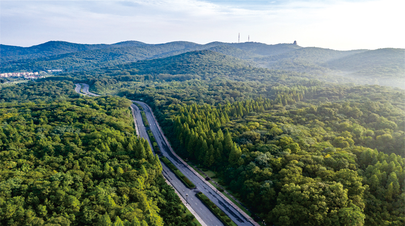 滁州琅琊山公路。滁州市林业局供图