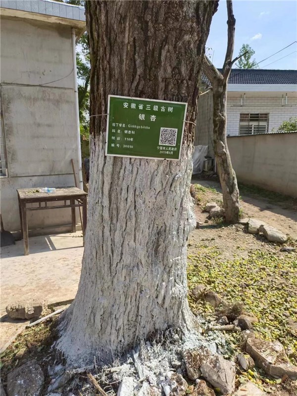 1669358658129222.jpg
