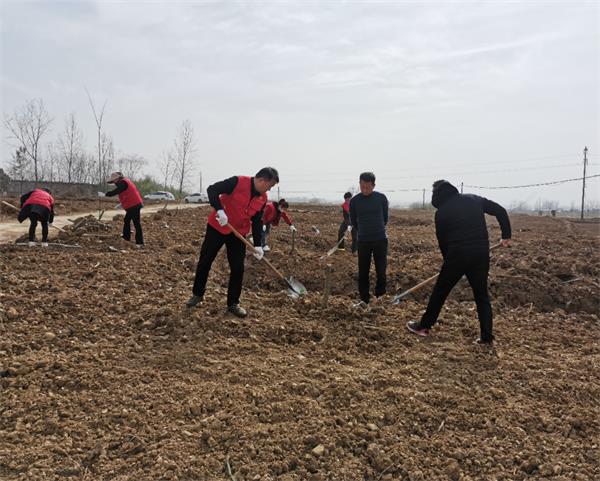 仓镇义务植树13.jpg