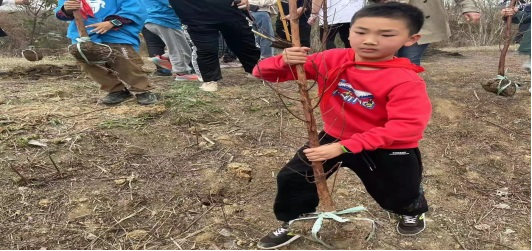 微信图片_20230316112159.png