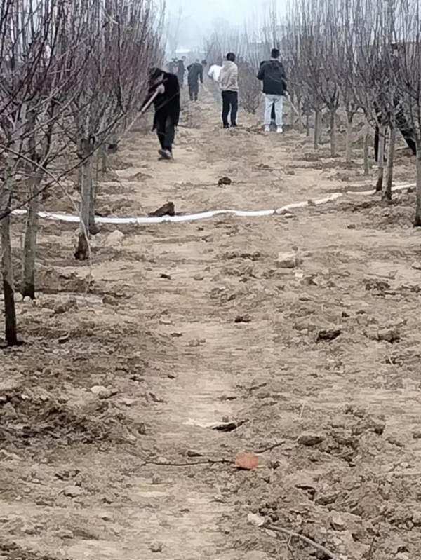 微信图片_202303290913351_副本.png