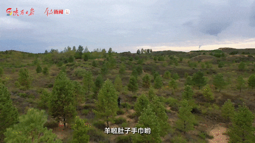 640.gif