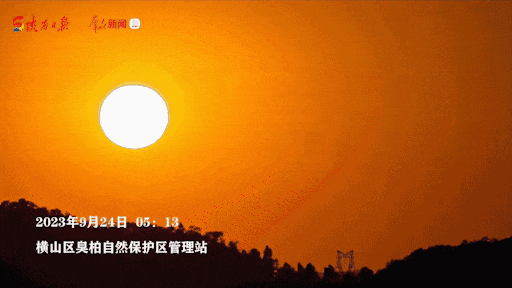 640 (4).gif