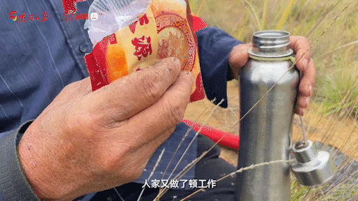 640 (6).gif