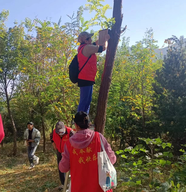 微信图片_20231117131149_副本.png