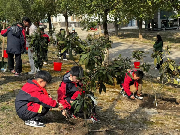 微信图片_20240325171421_副本.png