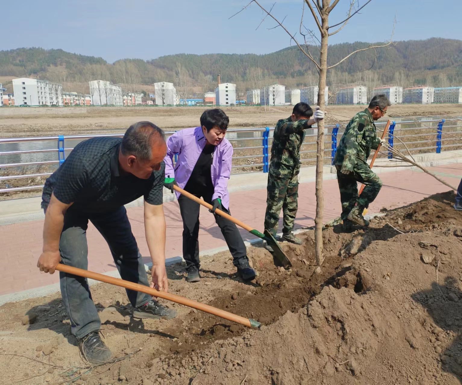 县长金桂英参加义务植树活动.jpg