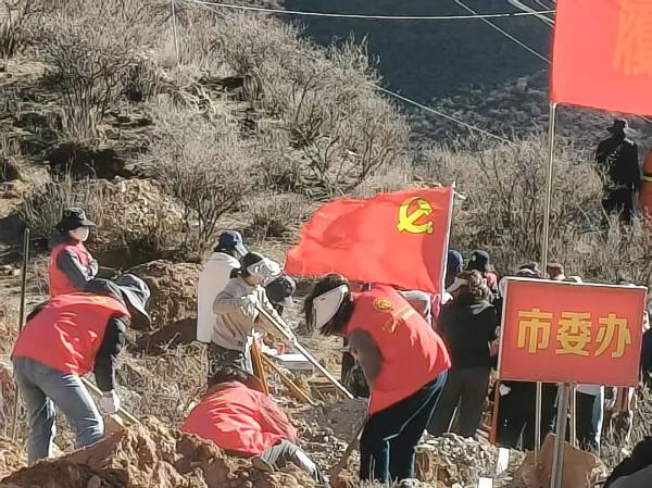 微信图片_20250402100036 (1).jpg