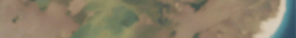 1751508603865494.gif