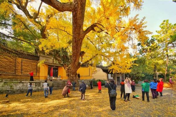 1761703853706481.jpg 1.jpg