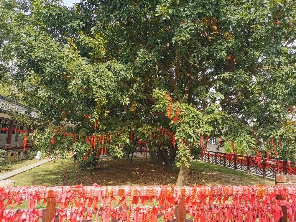 1761703923167577.jpg 3.jpg