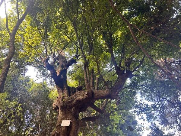 1761704473740787.jpg 13.jpg