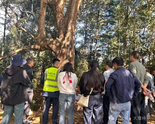 1761704503982899.jpg 16.jpg