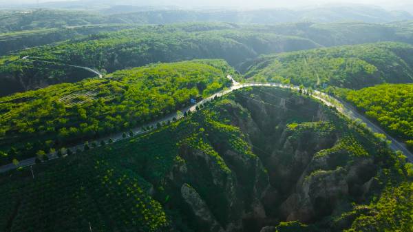 1761706014682544.jpg 1 (1).jpg