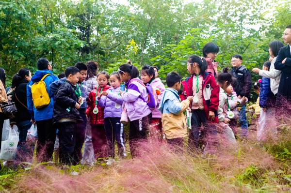 1761706307418953.png 18.png